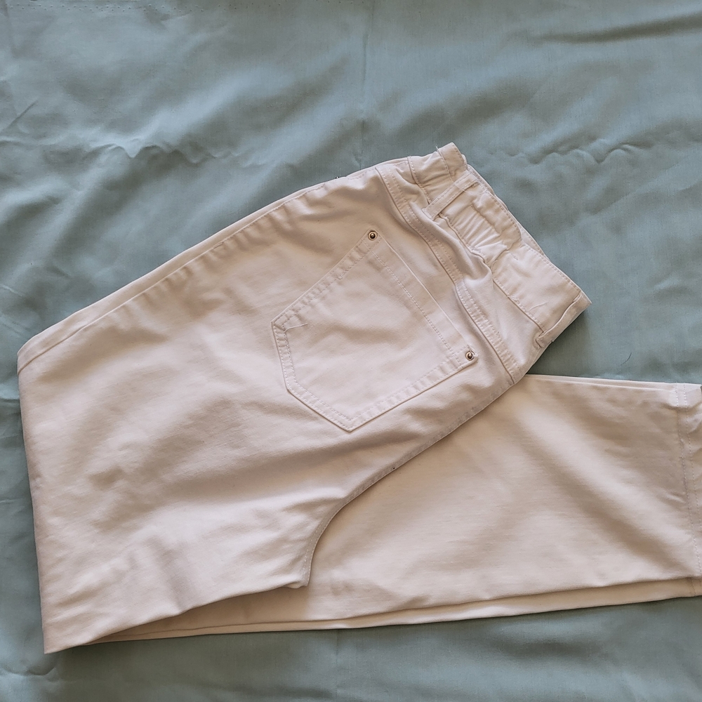 INC International Concepts Cream Chinos